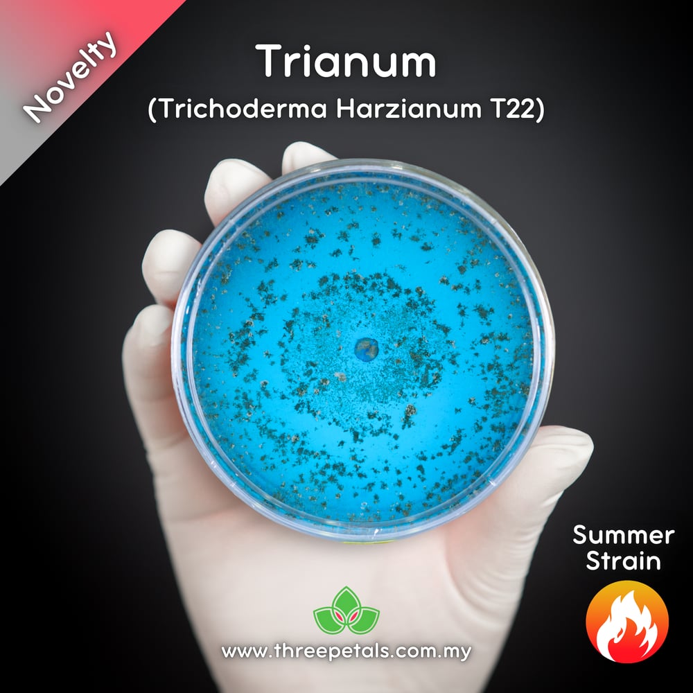 Trianum (Trichoderma Harzianum T22) Live Mycelium Mushroom Culture Spawn Seed