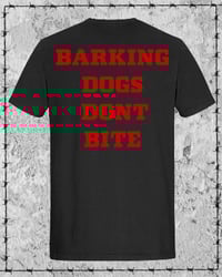 Image of Barking dogs don't bite