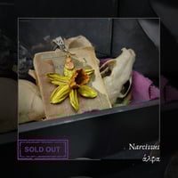 Image 3 of ☽ Narcissus ☾