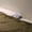 Image of Peluche 'Meh'