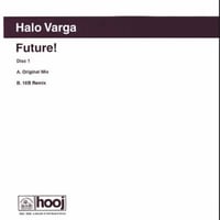 Halo Varga – Future! (House / Prog - Used)