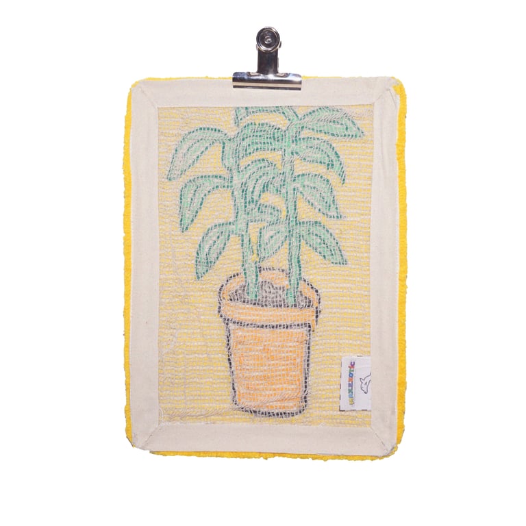 Plante verte  Image 3