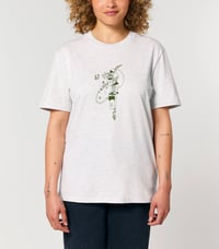 Image 1 of Galaxies: Ash Grey - Olive Green