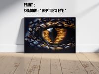 Reptile's Eye