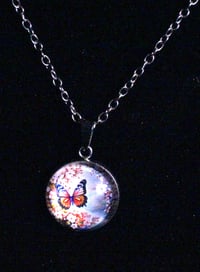 Butterfly in Flight