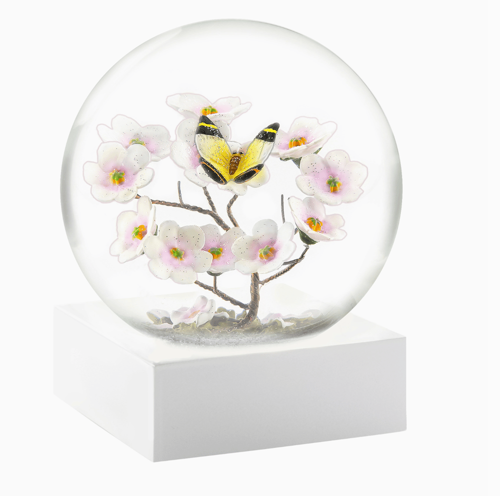 Image of Snow Globes! (6 Kinds)
