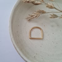 Minimal D ring 