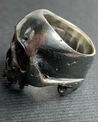 Image 3 of Skull Ring 4, Hand Made, Oxidised Silver, Custom Gold Teeth Option