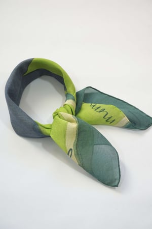 Image of Foulard n. 349 