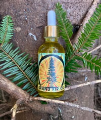 Image 3 of Grand Fir Oil  2oz