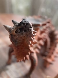 Image 2 of Lagarto Cornudo 
