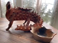 Image 3 of Lagarto Cornudo 