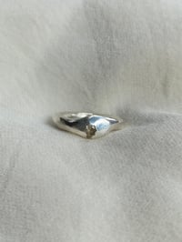 Image 3 of Earthen Sapphire