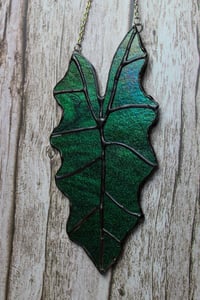 Image 1 of Iridescent Aventurine Alocasia