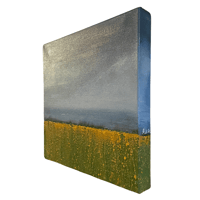 Image 2 of Where I belong