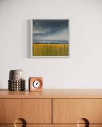 Image 5 of Where I belong