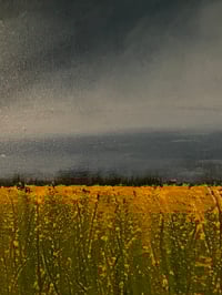 Image 6 of Where I belong