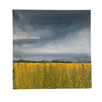 Image 1 of Where I belong