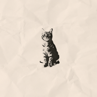 Kitten