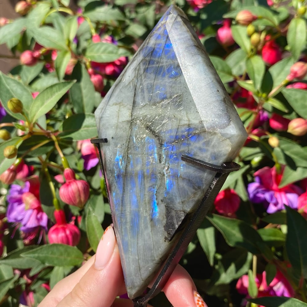 Image of Labradorite Kite