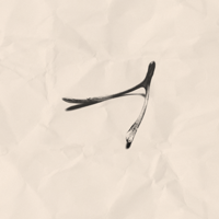 Wish bone
