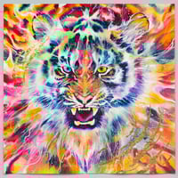 Image 1 of CHASING THE LIGHT