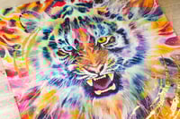 Image 4 of CHASING THE LIGHT