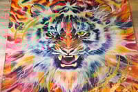 Image 5 of CHASING THE LIGHT