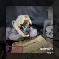 Image 3 of ☽ Opallios Andamooka ☾
