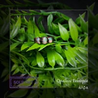 ☽ Opallios Ethiopia ☾