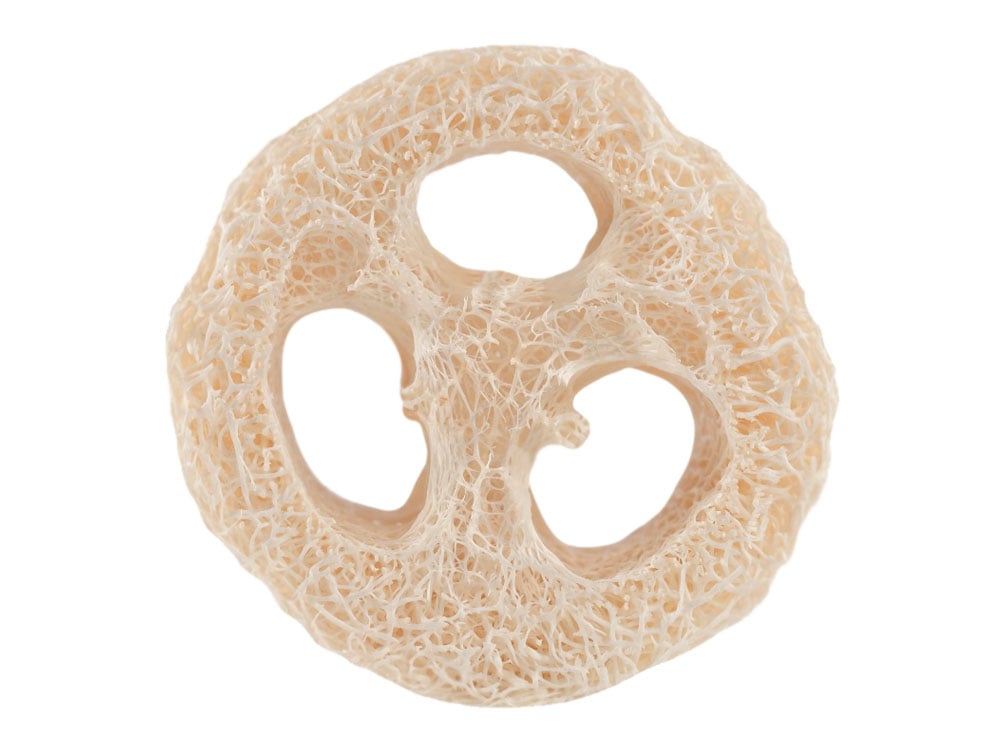 Image of SCHWAMM Luffa