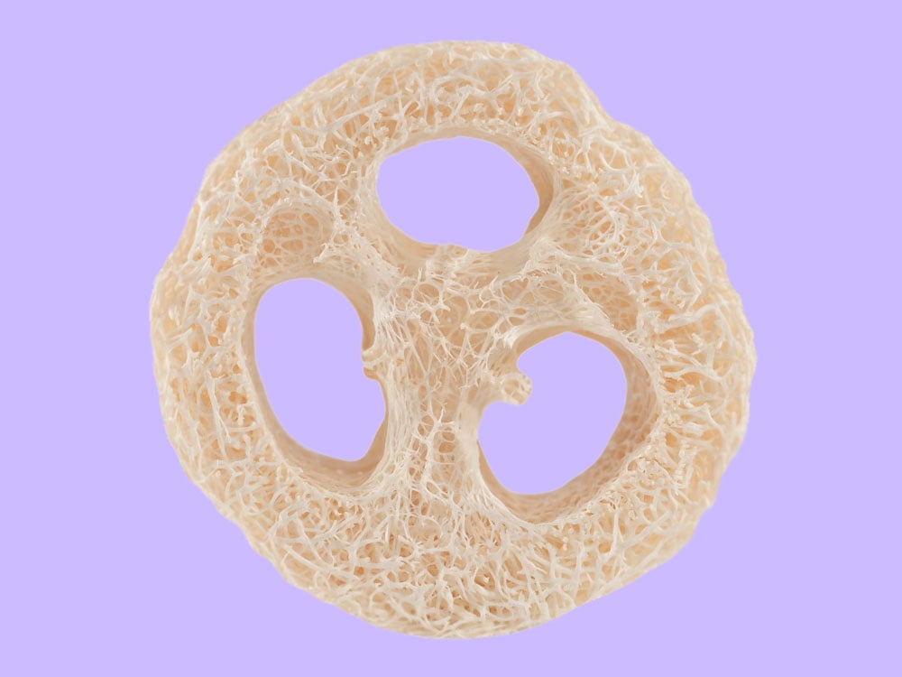 Image of SCHWAMM Luffa