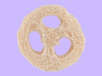 Image 2 of SCHWAMM Luffa