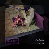 Image 2 of ☽ Orchidea ☾