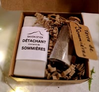 Stain removal travel kit / Kit de voyage de détachage