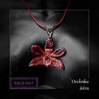Image 3 of ☽ Orchidea ☾