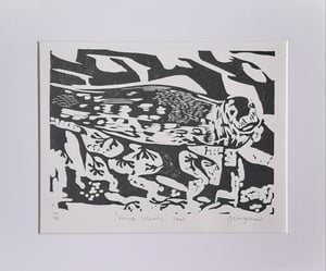 'Farne Islands Seal' Linocut Print