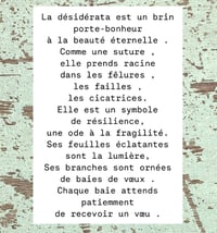 Image 6 of Couronne « croire en ses rêves »