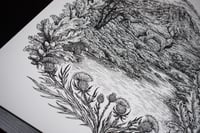 Image 2 of ORIGINAL Buachaille Etive Mòr ink drawing