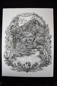 Image 1 of ORIGINAL Buachaille Etive Mòr ink drawing