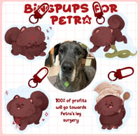 Image 1 of Bingpups for Petra 6,5cm charms Preorder