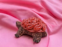 Image 3 of Turtle with Brain Shell