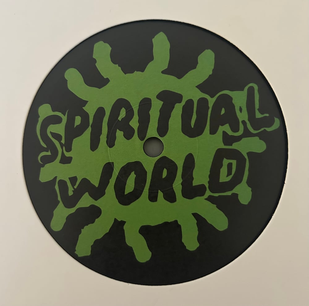 N1 - Shake Your Trunk (Spiritual World) 12"