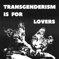 Image 2 of transgenderism is for lovers 