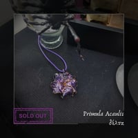 Image 4 of ☽ Primula Acaulis ☾
