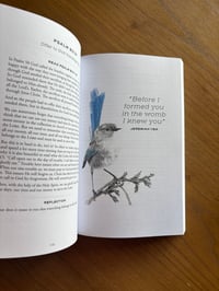Image 3 of CHOSEN BY GOD By Denise DeVos