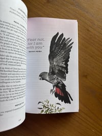 Image 4 of CHOSEN BY GOD By Denise DeVos