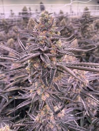 Image 2 of Red Velvet x Banana Split