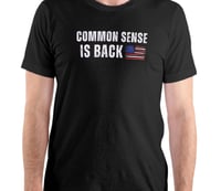 Image 1 of COMMON SENSE IS BACK American Flag Image/Unisex Black Tee