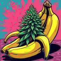 Image 1 of Runtz x Banana Split